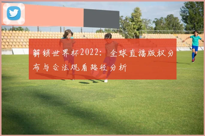 解锁世界杯2022：全球直播版权分布与合法观看路径分析