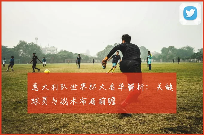 意大利队世界杯大名单解析：关键球员与战术布局前瞻