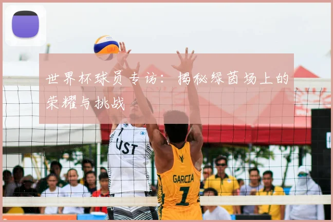 世界杯球员专访：揭秘绿茵场上的荣耀与挑战