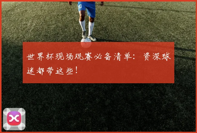 世界杯现场观赛必备清单：资深球迷都带这些！