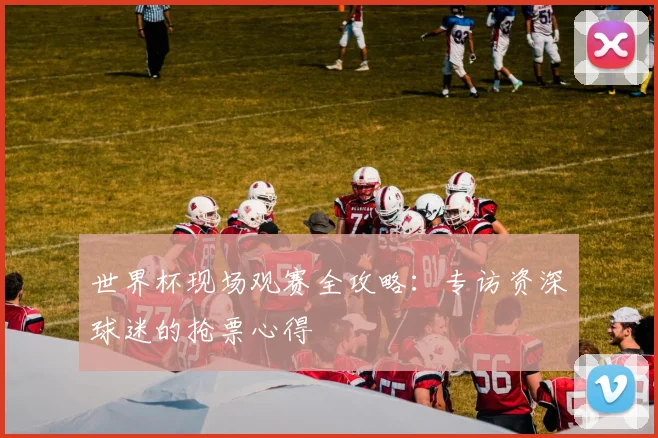 世界杯现场观赛全攻略：专访资深球迷的抢票心得