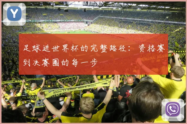 足球进世界杯的完整路径：资格赛到决赛圈的每一步
