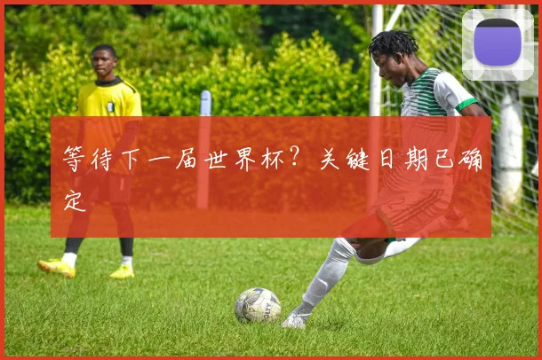 等待下一届世界杯？关键日期已确定