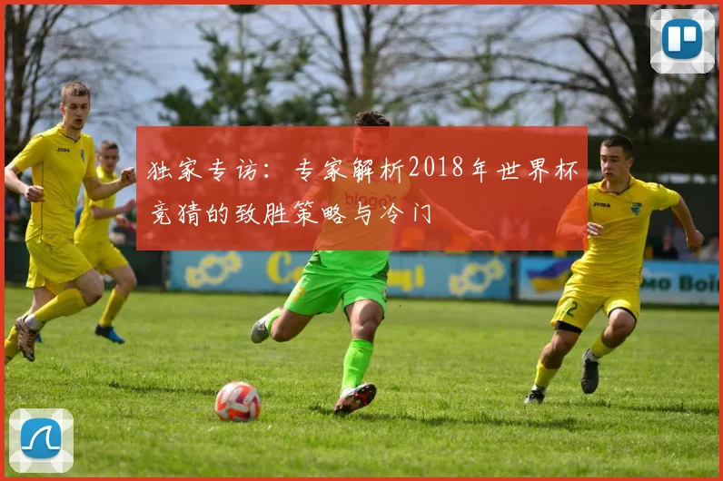 独家专访：专家解析2018年世界杯竞猜的致胜策略与冷门