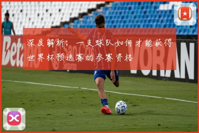 深度解析:一支球队如何才能获得世界杯预选赛的参赛资格