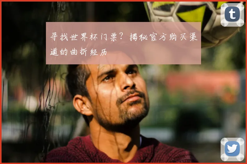 寻找世界杯门票?揭秘官方购买渠道的曲折经历