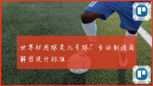 世界杯用球是几号球？专访制造商解密设计标准
