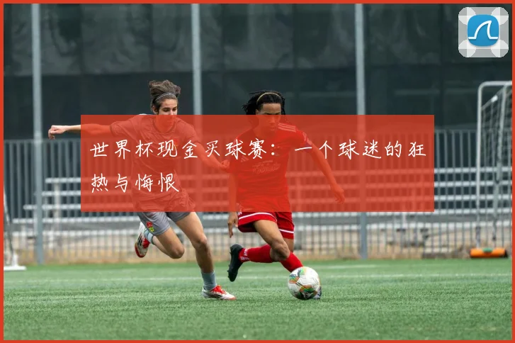 世界杯现金买球赛：一个球迷的狂热与悔恨