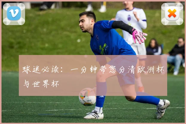 球迷必读：一分钟带您分清欧洲杯与世界杯