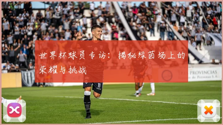 世界杯球员专访：揭秘绿茵场上的荣耀与挑战