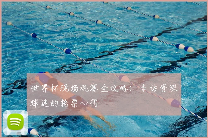世界杯现场观赛全攻略：专访资深球迷的抢票心得
