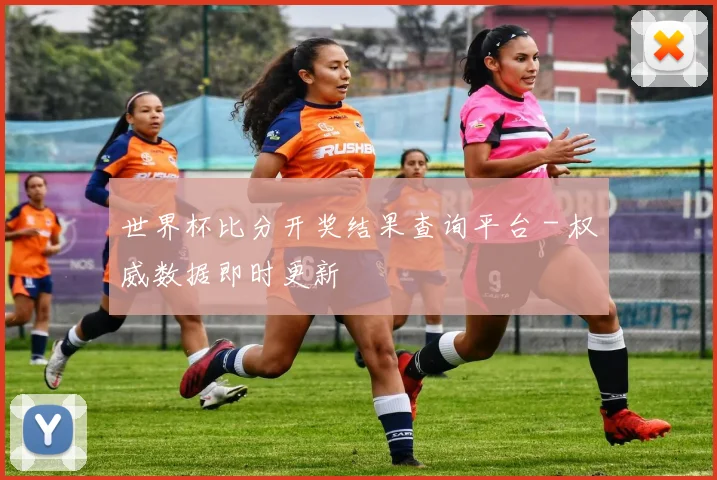 世界杯比分开奖结果查询平台 - 权威数据即时更新