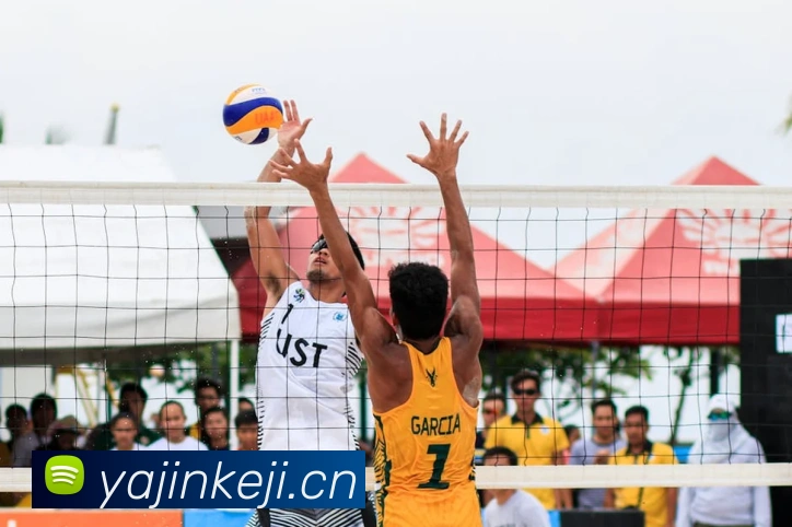 开云官方手机入口APP 封面图